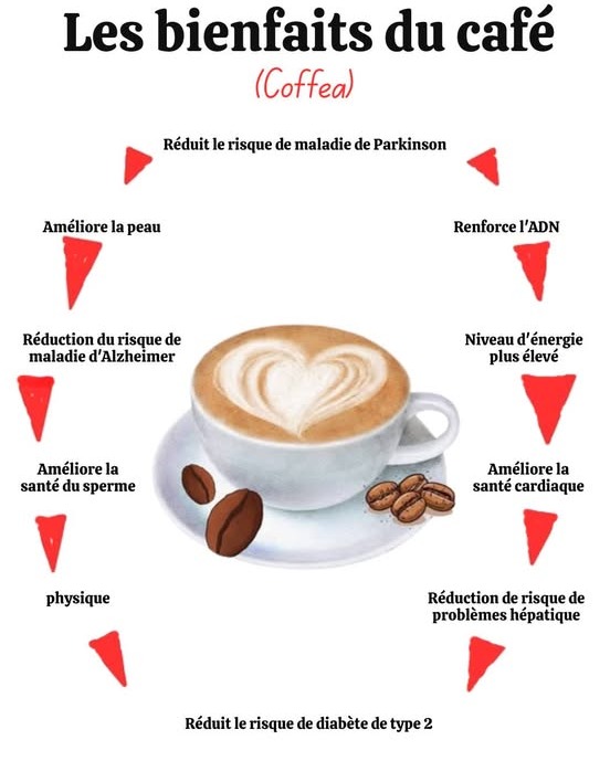 Un voyage sensoriel au cœur du café   
Originaire dÉthiopie au XVe siècle, le café a traversé le temps, les cultures et les palais à travers le monde. De la légende du berger Kaldi à son adoption par laristocratie européenne, il sest établi comme une boisson universelle.  
 Une histoire fascinante  
Du grain vert aux tasses contemporaines, chaque gorgée raconte un chapitre de son parcours. Dès le XVIIe siècle, il charme les salons européens ; au XIXe siècle, il devient un rituel mondial.  
 Variétés emblématiques :  
 Arabica  Délicat, doux, cultivé en haute altitude  
 Robusta  Corsé, intense, idéal pour un regain dénergie  
 Liberica  Fruité, floral, rare et audacieux  
 Excelsa  Subtil, crémeux, originaire dAsie  
 Le café dépasse la simple boisson : cest un art, un héritage et un plaisir partagé à léchelle mondiale.