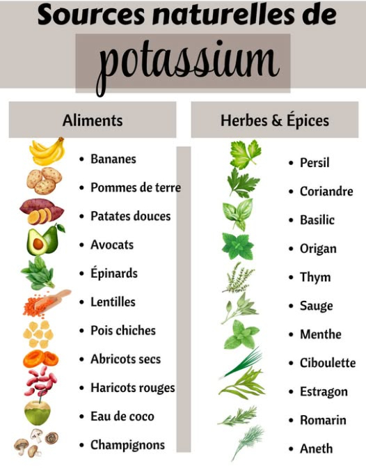 Le pouvoir du potassium 
 Maintient léquilibre hydrique et électrolytique
 Régule la tension artérielle et soutient le cœur
 Favorise la contraction musculaire et la transmission nerveuse
 Peut sépuiser rapidement avec lexcès de sel, le stress ou la déshydratation
 Astuce : privilégie une alimentation variée avec fruits, légumes et herbes riches en potassium pour renforcer ton énergie et ta vitalité.