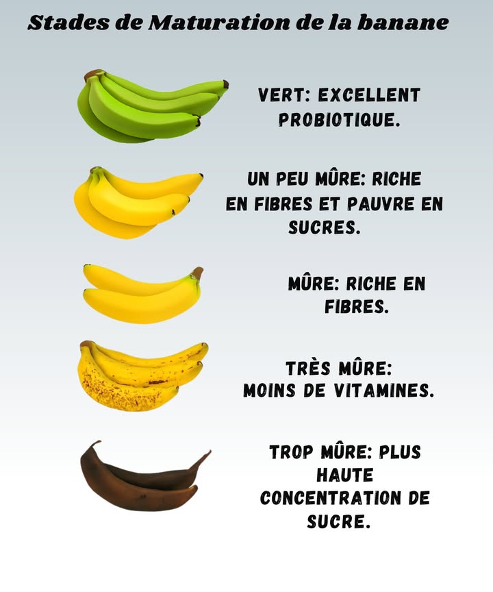Stades de maturation de la banane : que choisir selon tes besoins 

1 Verte 
Excellente pour la flore intestinale ! Elle agit comme un probiotique naturel, parfait pour renforcer la digestion. Un peu dure à croquer, mais top pour la santé 

2 Un peu mûre 
Riche en fibres et encore pauvre en sucres. Cest la banane idéale pour les personnes surveillant leur glycémie.

3 Mûre 
Douce, facile à digérer et pleine de fibres. Elle apporte de lénergie sans trop peser sur lestomac.

4 Très mûre 
Moins de vitamines mais une texture fondante. Parfaite pour les smoothies, gâteaux ou pancakes !

5 Trop mûre 
Ultra sucrée, avec la plus haute concentration de glucose. À éviter si tu veux limiter le sucre ou à savourer si tu as besoin dun coup de boost rapide !

 Astuce : chaque stade a ses bienfaits  à toi de choisir selon ton humeur ou ton dessert du jour !