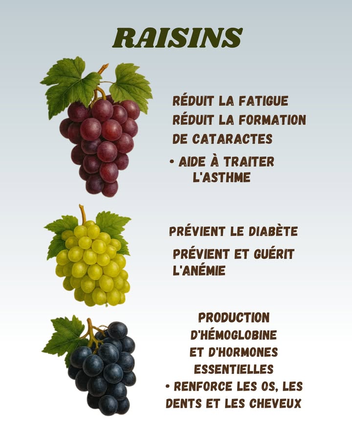 Les raisins et leurs super-pouvoirs 

1 Réduit la fatigue et aide à garder de lénergie parfait pour éviter de sendormir devant une série !

2 Protège les yeux en réduisant le risque de cataractes donc pas dexcuse pour rater ton épisode préféré.

3 Peut soulager lasthme, même si on avoue quon a tous déjà essayé de courir après le bus sans succès.

4 Aide à prévenir le diabète et combat lanémie bref, cest presque une petite armure santé en grappe.

5 Favorise la production dhémoglobine et dhormones essentielles, ce qui donne un vrai coup de pouce à ton corps.

6 Renforce les os, les dents et même les cheveux donc si tes cheveux font la tête, pense à croquer quelques raisins.