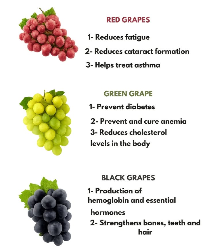 Health Benefits of Grapes: Red, Green and Black 

1 Red grapes 
Rich in resveratrol, a powerful antioxidant that supports heart health, improves circulation, and protects vision while providing natural energy to the body.

2 Green grapes 
Help balance blood sugar levels, support cardiovascular health, and supply minerals that may help prevent anemia.

3 Black grapes 
High in polyphenols, they fight cellular aging, strengthen bones and teeth, and promote hormonal balance.

 In all their varieties, grapes are a functional food that combines flavor and nutrition, bringing vitality and daily well-being.
#fblifestyle