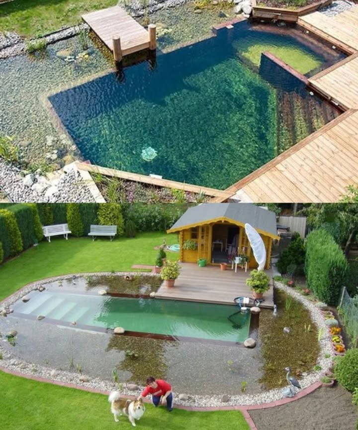 Natural Pool in 6 Quick Steps 

1 Two zones: one to swim, one to filter 
2 Build it: use a liner or concrete 直
3 Circulate: small pump keeps water fresh 
4 Filter zone: add gravel  plants 
5 Decorate: deck, rocks, or shade 蝹
6 Wait & dive: let nature balance 

 Swim chemical-free. Beautiful. Natural. Easy.