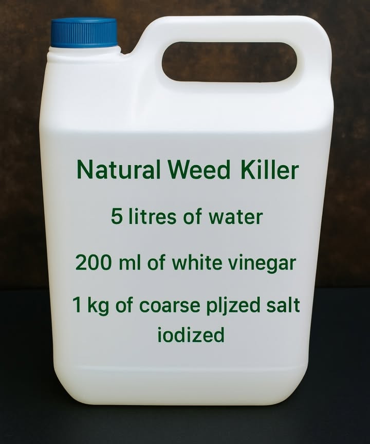 Goodbye Weeds with 3 Simple Ingredients 

1 Mix the ingredients
Combine vinegar, salt, and a bit of mild soap. Sounds like a kitchen recipe, but dont drink it!

2 Apply under the sun
Spray directly on the leaves on a hot, sunny day. I tried on a cloudy one  absolutely no results!

3 Protect what matters
Avoid spraying near your favorite plants, or they might get damaged too.

4 Repeat only when necessary
Two or three times a year is enough to keep weeds away without harming the soil.