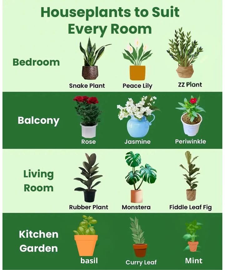 Bring every corner to life with a touch of green 
From cozy nooks to sunlit balconies, Urvann helps you find the perfect plant for every vibe 華