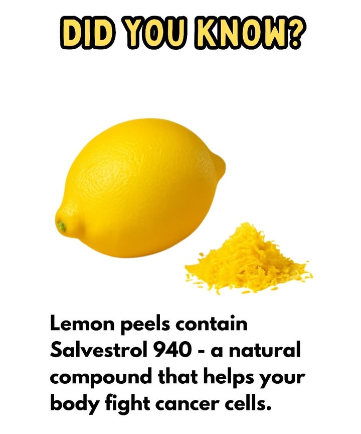 Lemon peels hold more benefits than we realize.
They contain bioactive compounds such as limonene and Salvestrol 940, which support the bodys natural detox functions and help protect cells from oxidative stress. 
These natural elements assist in maintaining healthy cellular balance and encourage the safe removal of damaged cells.
Instead of throwing away the peel, try adding a little grated lemon zest to smoothies, teas, or salads  a simple way to nourish your body and make the most of natures resources. 
#fblifestyle