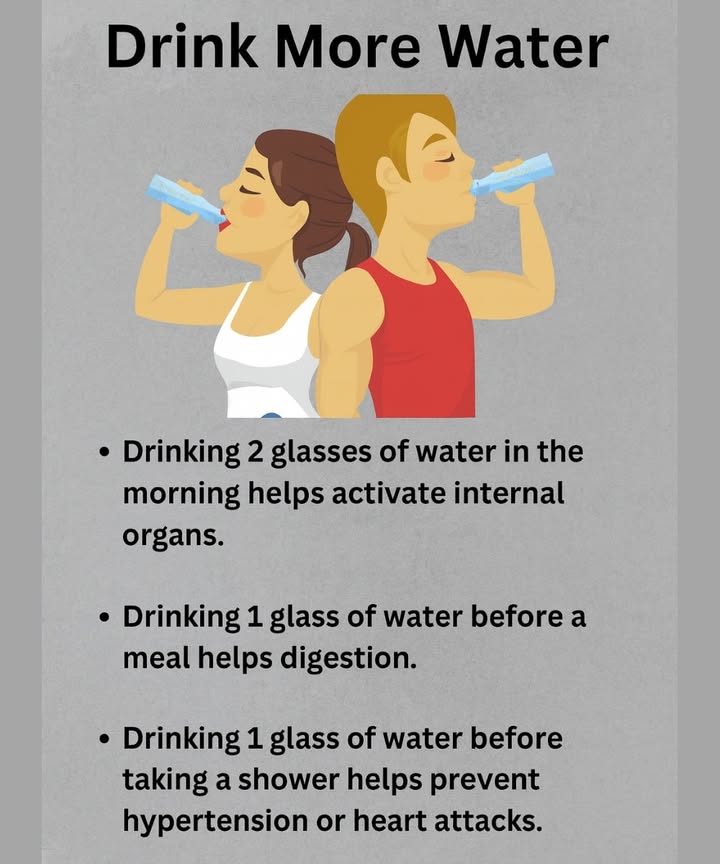 Water, a daily support for better health 

 Drinking two glasses of water in the morning helps to activate metabolism and gently awaken the internal organs.
 One glass before meals prepares the stomach and improves digestion.
 A glass of water before taking a shower may support blood pressure regulation and circulation.
 A glass before going to bed keeps the body hydrated during the night, supporting both the heart and the brain.

 A small daily practice that promotes energy, mental clarity, and overall well-being.

#fblifestyle
