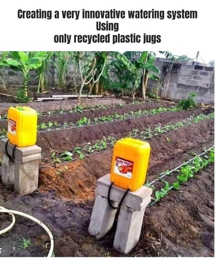 An Innovative Watering System Using Recycled Plastic Bottles 

 Simple, sustainable watering using what you already have!

 Turns used plastic jugs into a gravity-fed drip system
 Perfect for backyard gardens and small farms
 Directly hydrates rootsminimizes water waste
 Budget-friendlyno need for expensive gear
 Easy to refill, no electricity required
 Great for hot weather and drought-prone areas

 Waste less, grow moresmart gardening starts now!