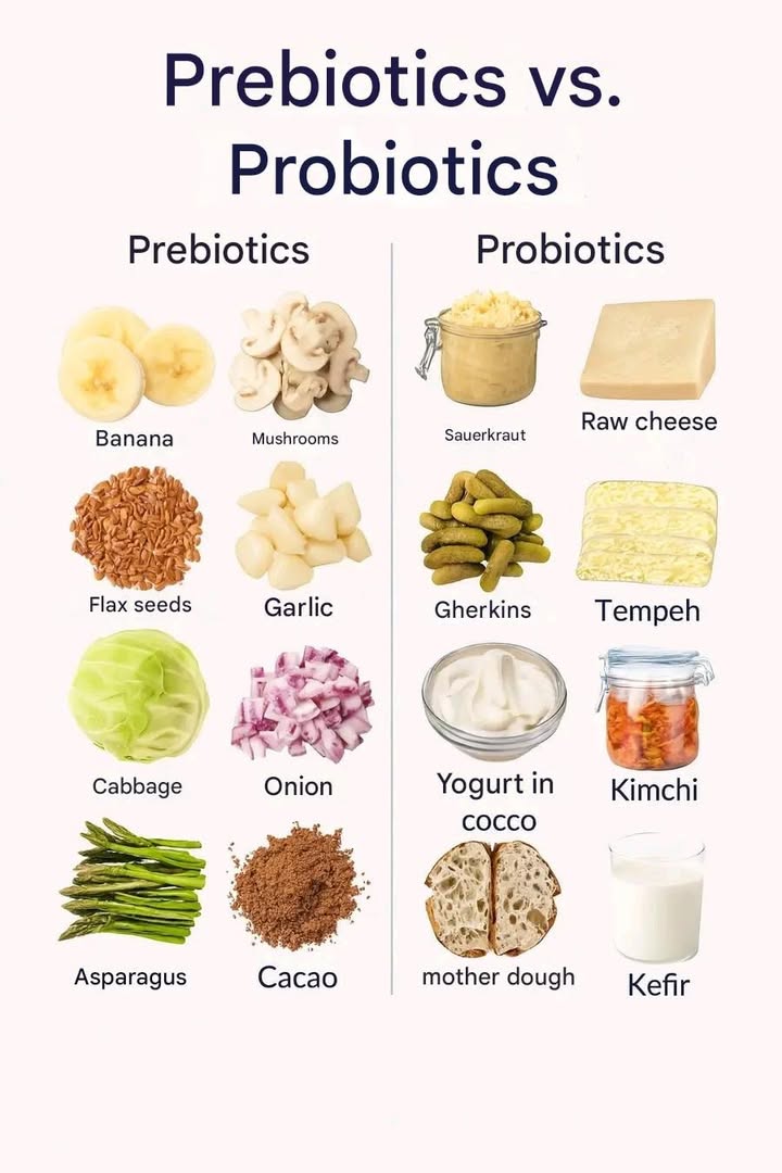 Prebiotics vs. Probiotics

 Prebiotics
These are non-digestible fibers that feed the good bacteria in your gut.
Examples include:

 Bananas

 Mushrooms

 Flax seeds

龍 Garlic

塞 Cabbage

暈 Onion

 Asparagus

 Cocoa

 Probiotics
These are live beneficial bacteria that help balance your gut microbiome.
Found in foods like:

塞 Sauerkraut

燎 Raw cheese

勒 Pickles

便 Coconut yogurt

 Sourdough bread

 Kimchi

 Tempeh

拏 Kefir

 A healthy gut needs both prebiotics and probiotics working together!