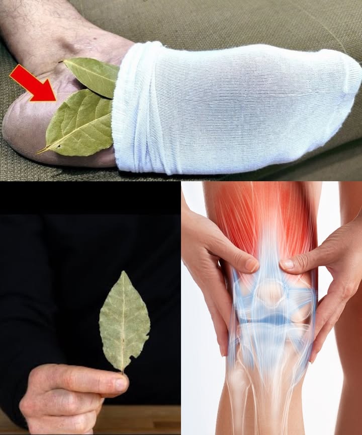 Natural Relief with Bay Leaves in Socks 

A simple, time-tested method to ease pain in the feet, joints, and back.

 How to Use
 Place 12 clean, dry bay leaves inside your socks, near the heel
 Wear them overnight or during rest time
 Repeat daily for 2 weeks

 Main Benefits
 Reduces pain and inflammation
 Improves blood circulation
 Provides relaxation and supports better sleep
 Natural protection against fungi and bacteria

離 Eugenol in bay leaves works as a natural anti-inflammatory and pain reliever.

 Ideal for
 Tired and aching feet
 Arthritis and joint pain
 Persistent inflammations
 Back and knee discomfort

 An age-old natural remedy, simple and effective.