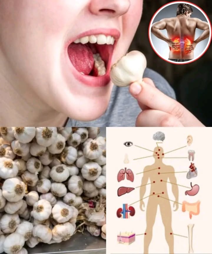 龍 I had no idea that eating 2 raw garlic cloves a day could be so powerful! 
Its simple, cheap, and packed with benefits most people overlook.

1 Boosts immunity 
Fights off colds and infections thanks to its sulfur compounds and antioxidants.

2 Lowers blood pressure 
Raw garlic helps relax blood vessels and improve blood flow.

3 Protects the heart 
Reduces bad cholesterol LDL, raises good cholesterol HDL, and prevents artery buildup.

4 Detoxifies heavy metals 離
Supports the liver and kidneys in eliminating lead and other toxic metals.

5 Fights bacteria and viruses 裂
Acts against E. coli, staph, and many other harmful microbes.

6 Aids digestion 
Stimulates digestive enzymes and feeds healthy gut bacteria.

7 Balances blood sugar 
Enhances insulin sensitivity and helps regulate glucose levels.

8 Brain protector 易
Improves memory, boosts brain circulation, and may help prevent Alzheimers.

9 Natural antibiotic 
Kills harmful bacteria without damaging your gut microbiome like regular antibiotics.

 Clearer, healthier skin 
Cleanses the blood and reduces acne-causing inflammation.

 I used to think garlic was just for flavor  now its part of my morning routine!

 Tip: Crush the garlic, wait 10 minutes, and swallow it with water or honey to soften the taste.