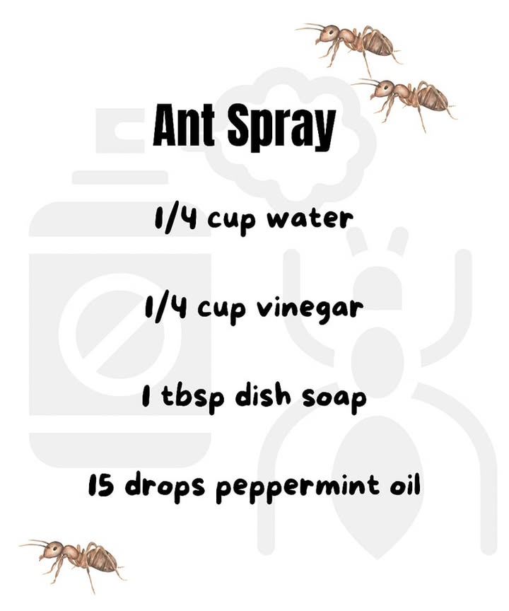 Ants are on the move! Just mix these ingredients in a spray bottle to keep them away.