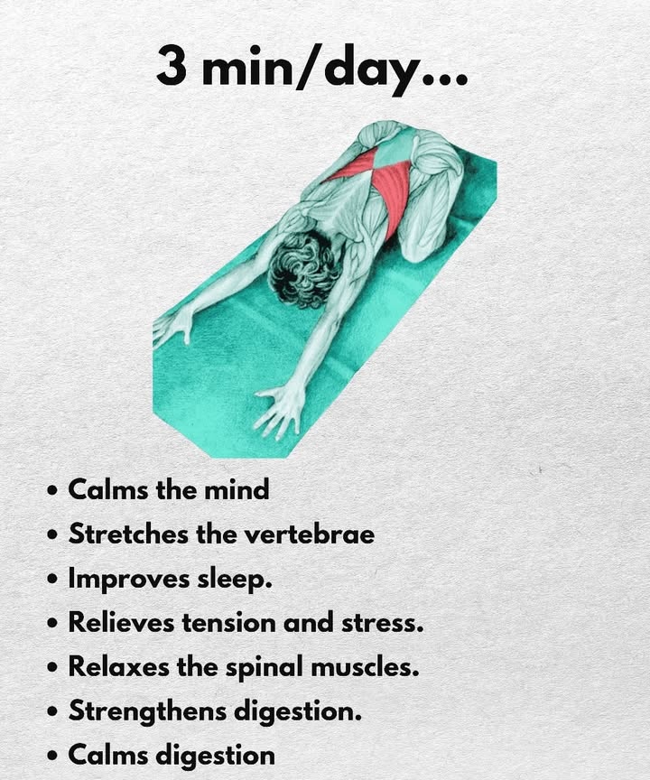 律 3 minutes a day 律

1 Calms the mind
2 Stretches the spine
3 Improves sleep
4 Relieves tension and stress
5 Relaxes back muscles
6 Supports digestion
7 Eases transit