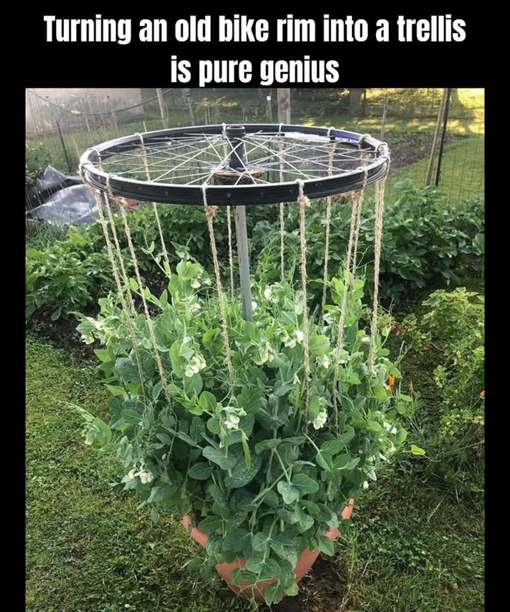 Im all for upcycling like this!