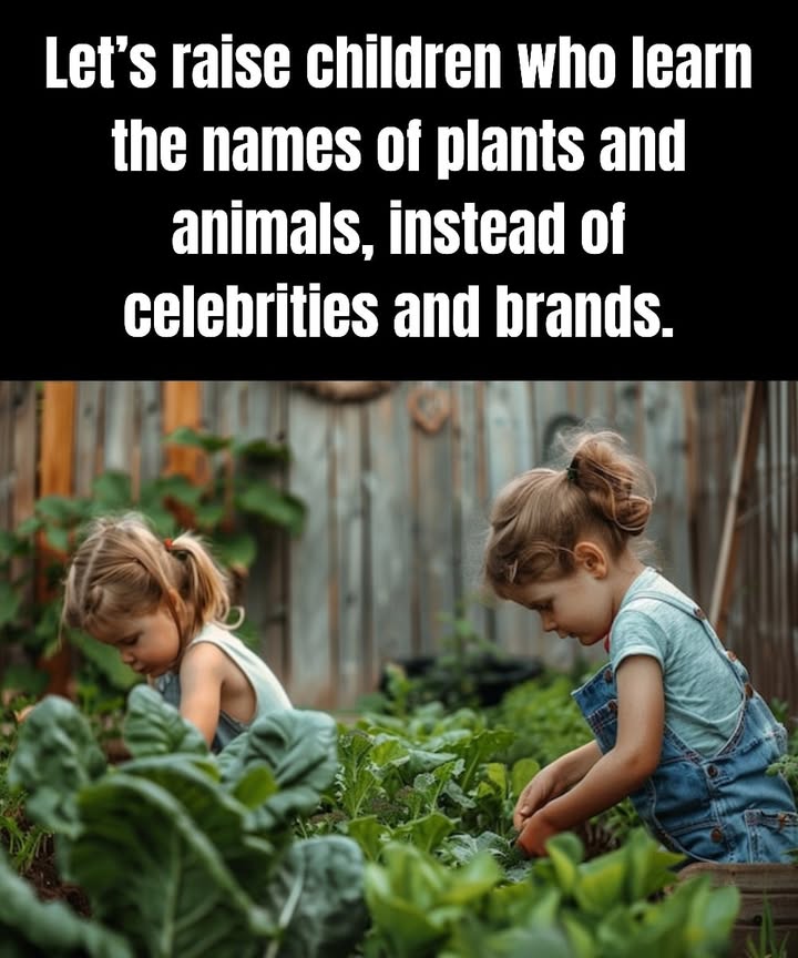 Lets raise children who learn the names of trees, birds, flowers and animals, instead of celebrities and brand labels. 
Teaching them to observe nature nurtures empathy, curiosity and a genuine sense of belonging to the living world. 
 Lets encourage a future where the wonder of a blooming flower, a birds song or the texture of a leaf matters more than screens and consumer trends. 

#lovenature #MindfulParenting