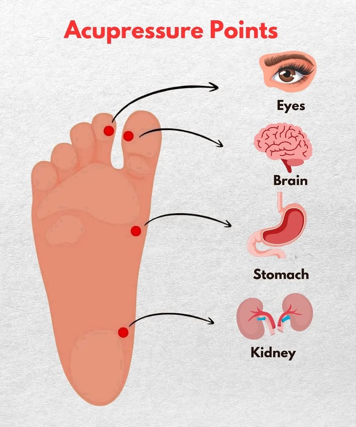 Key Acupressure Points 

1 Eyes 
Pressing the point near the big toe helps relieve eye strain and supports vision comfort.

2 Brain 易
The spot on the big toe stimulates mental clarity and eases nervous tension.

3 Stomach 
A point in the middle of the sole promotes healthy digestion and reduces stomach discomfort.

4 Kidneys 齃
The lower point on the arch of the foot supports energy balance and kidney function.