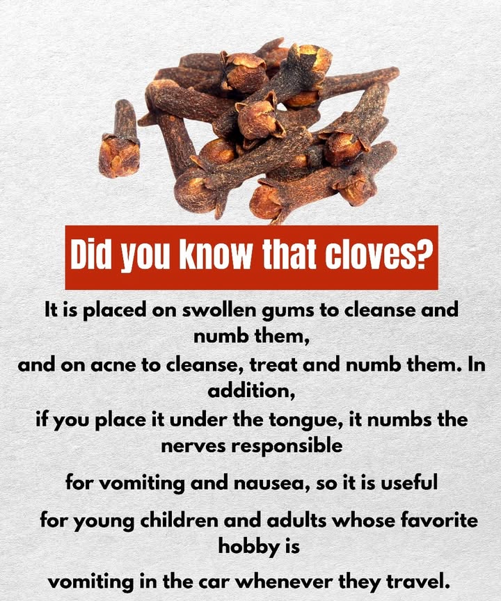 Health Benefits of Cloves 

1 Relief for swollen gums: when applied directly, they help clean and numb the pain.

2 Support for acne: used topically, they cleanse, treat, and reduce skin inflammation.

3 Sublingual effect: placed under the tongue, they act on certain nerves linked to nausea and vomiting, easing discomfort.

4 Helpful for travel: they can support both children and adults who often experience motion sickness in the car.