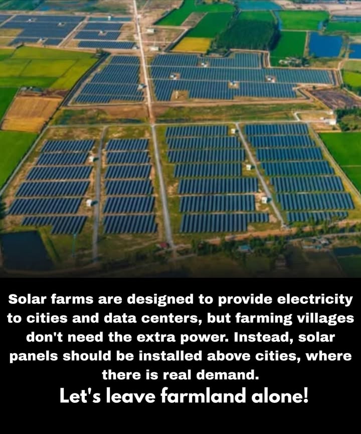 Clean energy is vital  but not at the cost of our nourishing land 

 Solar farms are increasingly occupying fertile agricultural soil, reducing the space available for growing crops.
 This expansion is endangering small farms and rural heritage.
 Additional electricity is most needed in urban areas and data centers, not in farming villages.
 Solar panels are finding their rightful place on rooftops, parking lots, and urban infrastructure.

 Renewable energy must be harmonized with the protection of agricultural land. Preserving the soil means preserving the future.