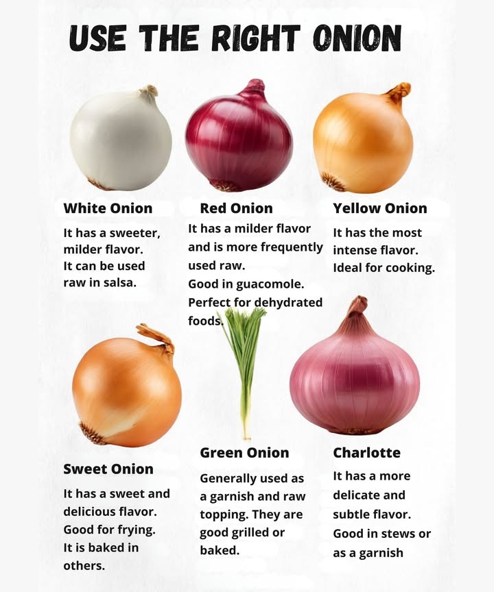 暈 Use the right onion for each dish 

Each type of onion adds a unique touch to your recipes:
 White onion: sweet and mild, ideal for sauces and stir-fries.
 Red onion: soft and crunchy, perfect in guacamole or pickles.
 Yellow onion: intensely flavored, ideal for soups, stews, and dips.
 Sweet onion: delicious and light, excellent for frying or roasting with vegetables.
 Green onion: fresh and versatile, perfect as a garnish or grilled.
 Shallot: delicately flavored, ideal for delicate sauces or accompaniments.

 Choosing the right onion transforms an ordinary dish into an experience full of flavor and aroma.