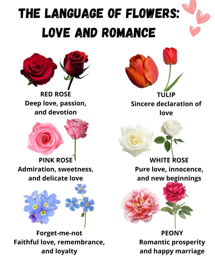 The Language of Flowers: Love and Romance
Devotion  Sweetness  Eternal Bonds

 Red Rose  Passionate love and deep devotion
 Pink Rose  Tenderness, admiration, and delicate affection
 White Rose  Pure love and new beginnings
 Tulip  Sincere and courageous declaration of love
 Forget-me-not  True love and lasting memories
 Peony  Romantic joy and happy union 

Let each flower tell your love story
