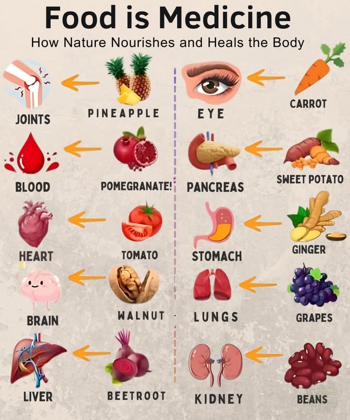 Food is Medicine: How Nature Nourishes and Heals 

 Pineapple: Reduces inflammation and eases joint pain.
 Pomegranate: Boosts blood flow and protects red blood cells.
 Tomato: Packed with nutrients for a healthier heart.
易 Walnut: High in omega-3s for better memory and focus.
 Beetroot: Detoxes the liver and boosts circulation.
凌 Carrot: Beta-carotene for sharp vision.
 Sweet Potato: Regulates blood sugar and aids digestion.
 Ginger: Soothes nausea and supports digestion.
 Grapes: Protect lungs from toxins.
齃 Kidney Beans: Support kidney health with fiber and minerals.

Embrace natures healing!