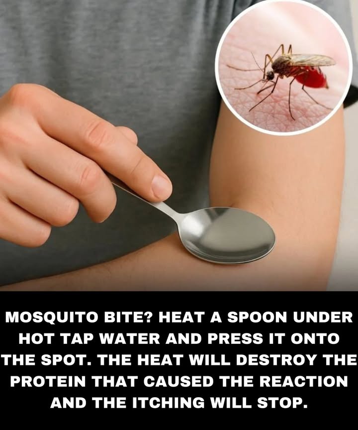 How to Stop Itching from Mosquito Bites with a Simple Spoon Trick
Step 1: Heat a Spoon
Run a spoon under hot tap water for a few seconds until its warm.

Step 2: Apply to the Bite
Carefully press the heated spoon onto the mosquito bite for a few seconds.

Why it Works:
The heat will destroy the protein in the mosquito saliva that causes the allergic reaction and the itching sensation.

Tip: Be careful not to make the spoon too hot; it should be warm enough to feel soothing, but not so hot that it burns the skin.

Now you can enjoy relief from itching without reaching for creams or sprays!