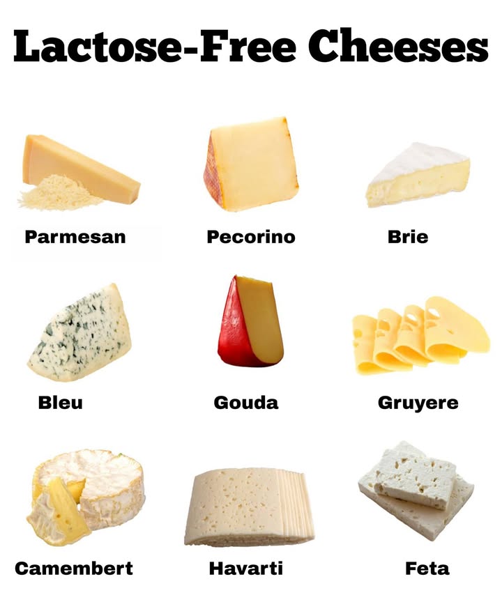 Lactose-free cheeses