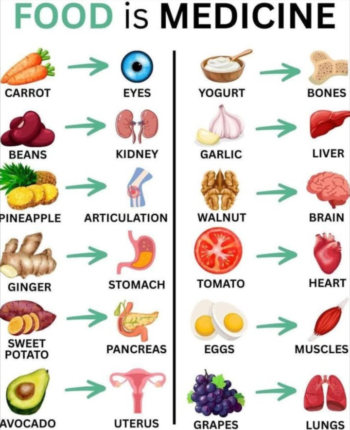 FOOD is MEDICINE: What to Eat for Each Organ! 復
凌 Carrot  Eyes
Rich in beta-carotene, carrots help improve vision and protect eye health.

齃 Beans  Kidney
Beans resemble kidneys and help improve kidney function and detoxification.

 Pineapple  Joints
Packed with bromelain, pineapple eases joint pain and inflammation.

 Ginger  Stomach
A powerful digestive aid that soothes nausea, bloating, and indigestion.

 Sweet Potato  Pancreas
Its shape matches the pancreas, and its rich in nutrients that balance blood sugar.

陋 Avocado  Uterus
Great for reproductive health, avocados are full of folate and healthy fats.

北 Yogurt  Bones
Loaded with calcium and probiotics to strengthen bones and improve gut health.

龍 Garlic  Liver
Garlic detoxifies the liver and activates liver enzymes for cleansing.

 Walnut  Brain
Its brain-like shape isnt a coincidence! Walnuts support memory and cognition.

 Tomato  Heart
Tomatoes contain lycopene, which improves heart health and reduces inflammation.

讀 Eggs  Muscles
Eggs provide complete protein to build and repair muscle tissue.

 Grapes  Lungs
Grapes help reduce lung inflammation and support respiratory function.