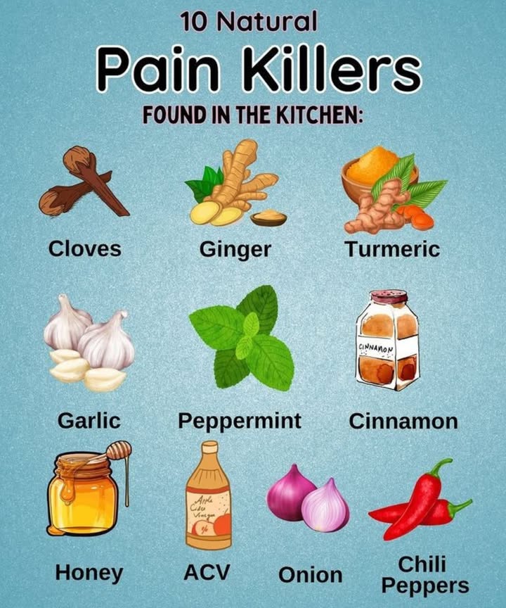 10 Natural Pain Killers Hiding in Your Kitchen! 
 Cloves  Great for toothaches and sore gums. Clove oil can numb pain fast!
 Ginger  A powerful anti-inflammatory that helps with muscle pain and nausea.
 Turmeric  Contains curcumin, which reduces inflammation and joint pain.
龍 Garlic  Helps fight infection and ease pain with natural antibiotic properties.
 Peppermint  Soothes headaches and stomach cramps; use the oil or brew a tea.
 Cinnamon  Can relieve arthritis pain and improve blood flow.
 Honey  Natural antibacterial properties and soothes sore throats and coughs.
 Apple Cider Vinegar ACV  Alkalizing and can help with indigestion and joint pain.
暈 Onion  Anti-inflammatory and may reduce pain from infections or swelling.
 Chili Peppers  Contain capsaicin, a natural compound that blocks pain signals.

Why It Matters:
Natural remedies can support your body gently, often with fewer side effects. Keep these kitchen staples handyyou never know when natures medicine cabinet will come in clutch! 律