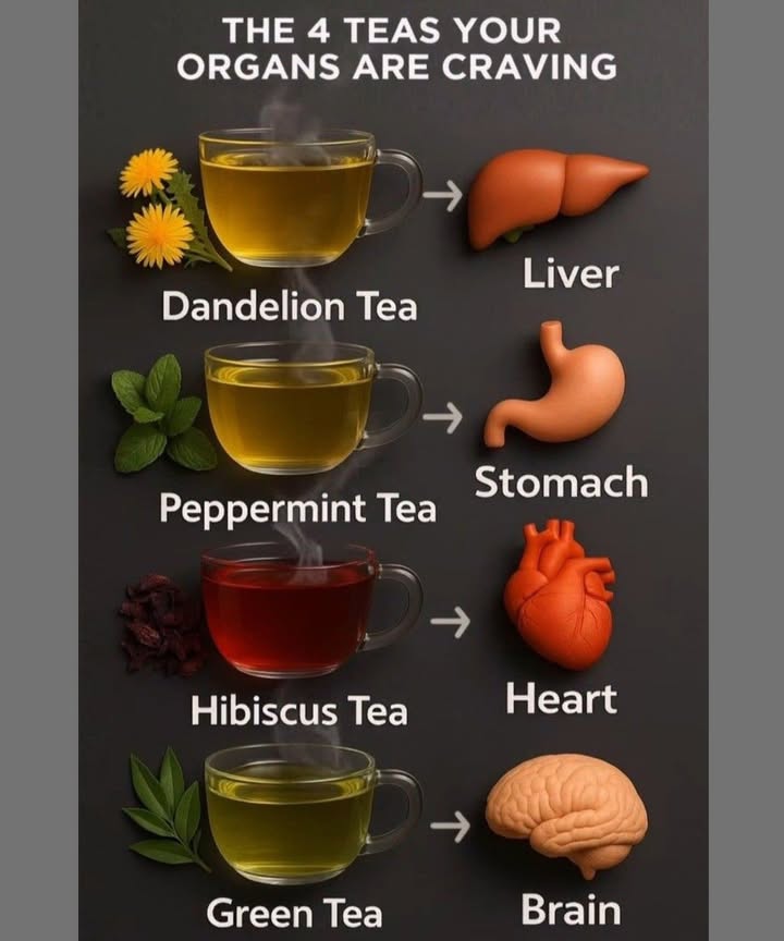 The 4 Healing Teas Your Organs Will Thank You For!
 1. Dandelion Tea  Liver Love
 Why it helps:
 Supports liver detoxification
 Stimulates bile production & flushes out toxins
 Rich in antioxidants for cell regeneration

 Drink it when: Youre feeling sluggish, bloated, or in need of a cleanse

 2. Peppermint Tea  Stomach Soother
 Why it helps:
 Relieves indigestion, bloating, & gas
 Calms muscle spasms in the gut
 Refreshing & naturally caffeine-free

 Drink it when: After meals or anytime your tummy needs a reset

 3. Hibiscus Tea  Heart Hero
 Why it helps:
 Lowers blood pressure naturally
 Supports cholesterol balance
 High in vitamin C & flavonoids

 Drink it when: You want a tart, vibrant tea with heart-healthy perks

 4. Green Tea  Brain Boost
 Why it helps:
 Enhances mental clarity & memory
 Rich in L-theanine for calm focus
 Packed with polyphenols for brain protection

 Drink it when: You need a productivity pick-me-up or morning motivation

𥳐 BONUS TIP:
Choose organic, high-quality teas and steep properly to unlock the full benefits. Listen to your bodyyour organs know what they need!