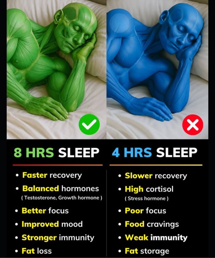 8 Hours vs 4 Hours of Sleep  The Truth Your Body Shows 
Ff