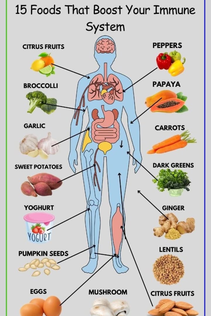 15 Powerful Foods That Boost Your Immune System Naturally 
 1. Citrus Fruits
Packed with vitamin C, citrus fruits like oranges, lemons, and limes increase white blood cell productionvital for fighting infections.

復 2. Broccoli
Rich in vitamins A, C, and E, as well as fiber and antioxidants, broccoli is one of the healthiest vegetables to include in your meals.

龍 3. Garlic
Garlic contains allicin, a compound that enhances immune function and helps fight infections.

 4. Sweet Potatoes
Loaded with beta-carotene, sweet potatoes support skin healthwhich is your bodys first line of defense.

北 5. Yogurt
Probiotics in yogurt promote gut health, which is closely linked to immune strength.

 6. Pumpkin Seeds
High in zinc, these seeds help immune cells function properly and can help reduce inflammation.

讀 7. Eggs
A great source of protein and vitamin Dboth important for immune function.

 8. Mushrooms
Mushrooms like shiitake and maitake are known for boosting white blood cells and enhancing immunity.

 9. Peppers
Bell peppers are rich in vitamin Cyes, even more than citrus fruits! They also contain beta-carotene for added support.

 10. Papaya
Papaya contains digestive enzymes and vitamin C, both of which help strengthen the immune system.

凌 11. Carrots
Another great source of beta-carotene that supports mucous membrane health and immune defense.

塞 12. Dark Greens
Spinach, kale, and other leafy greens are loaded with immune-enhancing nutrients like folate and iron.

 13. Ginger
Ginger has anti-inflammatory and antioxidant properties, helping fight off illness and soothe sore throats.

北 14. Lentils
A plant-based source of protein, iron, and zinc, lentils help energize your immune response.

 15. Citrus Fruits Again!
Theyre so important they deserve a second mention! Vitamin C is essential for cellular repair and defense.