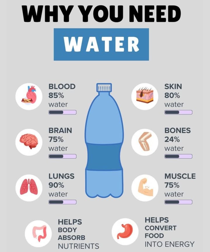Why You Need Water Every Day

Staying hydrated isnt just about quenching thirst  your body depends on water for almost everything. Heres why water is so essential:

 Blood  85% Water

Water keeps blood flowing smoothly, delivering oxygen and nutrients to every cell.

易 Brain  75% Water

Hydration boosts focus, memory, and overall brain function.

 Lungs  90% Water

Essential for breathing, water keeps your lungs moist and functioning properly.

林 Skin  80% Water

Keeps your skin glowing, elastic, and healthy.

領 Bones  24% Water

Even your bones rely on water for strength and flexibility.

 Muscles  75% Water

Hydration prevents cramps, supports performance, and speeds recovery.

 More Reasons to Drink Water:

 Helps your body absorb nutrients
 Converts food into energy
 Supports overall health & vitality

 Tip: Aim for 810 glasses daily, and even more if youre active or live in a hot climate.