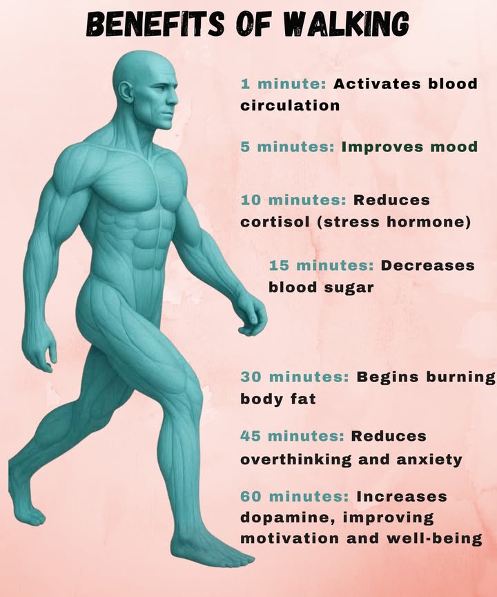 Benefits of Walking

Walking every day has progressively positive effects on the body and mind.
This is how the body reacts over time:

1 minute: Blood circulation is activated
5 minutes: Mood improves
10 minutes: Cortisol the stress hormone is reduced
15 minutes: Blood sugar levels decrease
30 minutes: Fat burning begins
45 minutes: Overthinking and mental tension are reduced
60 minutes: Dopamine levels increase, improving motivation and concentration

Walking regularly promotes physical and mental well-being.