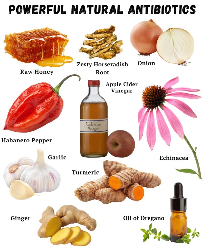 Powerful natural antibiotics
