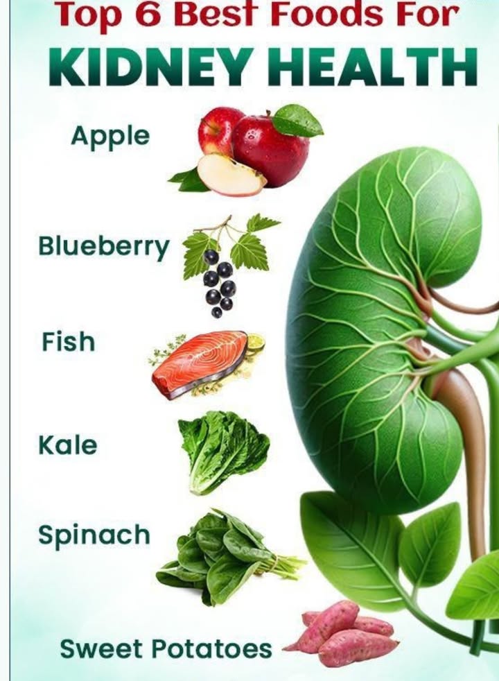 Top 6 Best Foods for Kidney Health
Your kidneys keep your body clean and balanced. Eat these foods to support their function:

 Apples  High in fiber and antioxidants, reduces inflammation.
 Blueberries  Rich in antioxidants, protects kidney cells.
 Fish  Omega-3s lower blood pressure and reduce inflammation.
 Kale  Nutrient-packed and kidney-friendly with low potassium.
 Spinach  Provides iron and folate but eat in moderation.
 Sweet Potatoes  Helps balance sodium and regulate blood sugar.

Conclusion: Add these foods to your diet for better kidney health!