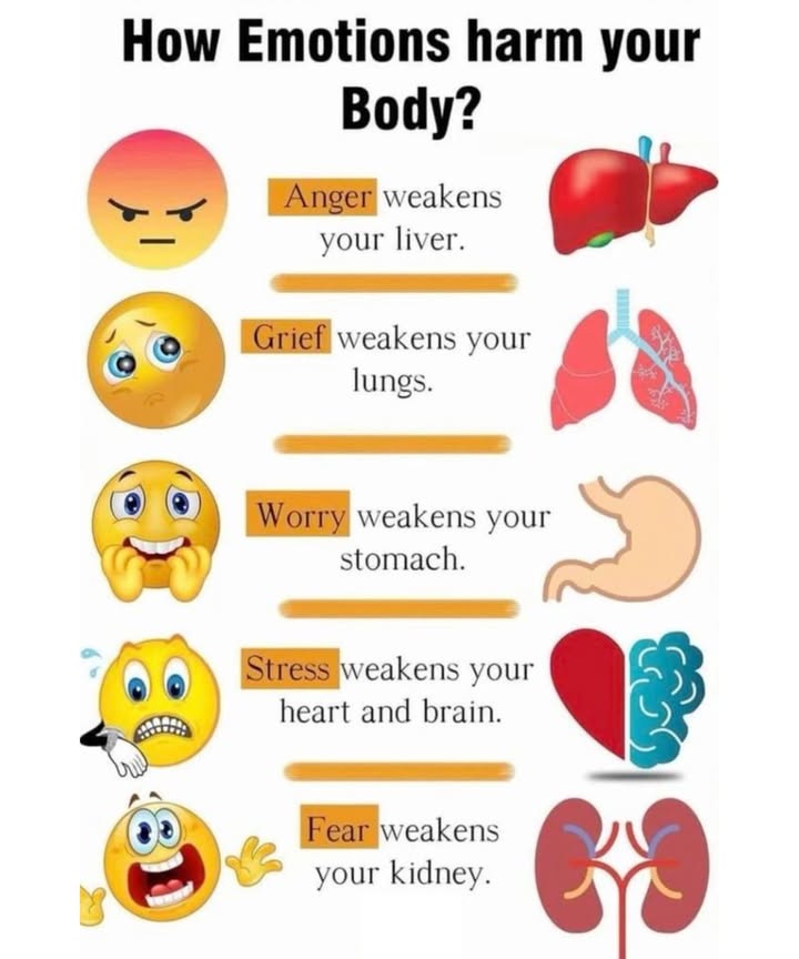 易 How Emotions Harm Your Body 
 Anger
喙 Weakens your liver
 When you bottle it up or lash out, your liver takes the hit. Practice deep breathing and release it constructively.

 Grief
喙 Weakens your lungs
 Long-term sadness or loss can disrupt breathing and lung function. Try talking it out, journaling, or spending time in nature.

 Worry
喙 Weakens your stomach
 Anxiety can cause digestion issues and stomach cramps. Mindful eating and relaxation help ease the tension.

 Stress
喙 Weakens your heart and brain
 Chronic stress affects memory, heart health, and mental clarity. Meditation and sleep are your best allies.

 Fear
喙 Weakens your kidneys
 Constant fear or trauma can tax your adrenal system and kidneys. Ground yourself through calm routines and supportive communities.