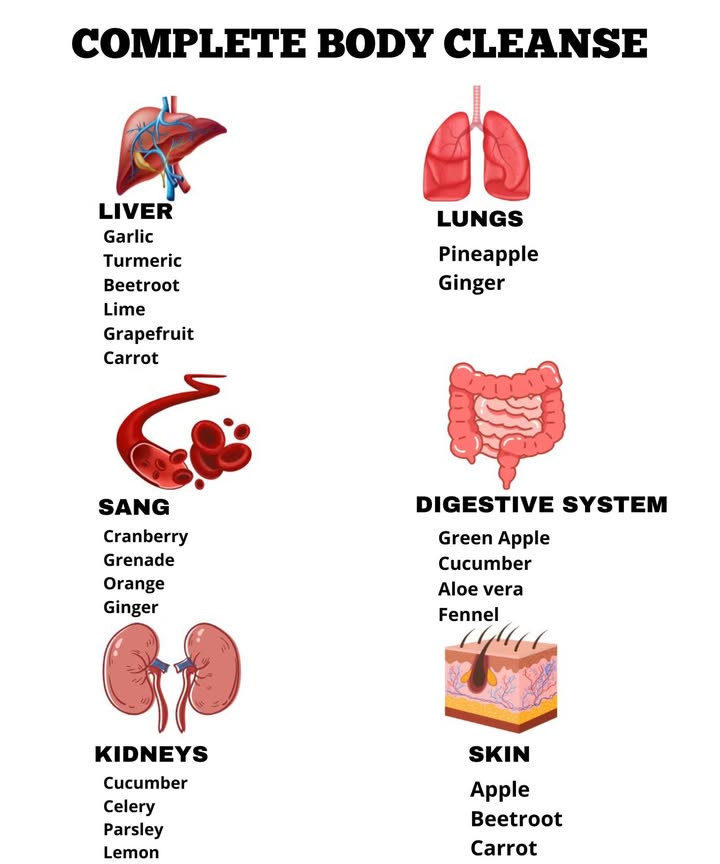 Complete Natural Detox: The Best Foods to Cleanse Your Body 
1. Liver Detox 變
 Turmeric: Reduces inflammation, regenerates the liver
 Beetroot: Rich in antioxidants, cleanses the liver
 Grapefruit: Helps eliminate toxins
 Carrot: Vitamin A protects liver cells
2. Lung Cleanse 
 Garlic: Anti-inflammatory and antimicrobial
 Lime: Helps eliminate mucus
 Pineapple: Bromelain to reduce inflammation
 Ginger: Opens the airways
3. Digestive System Cleanse 
 Green Apple: Aids digestion
 Cucumber: Hydrates and eliminates toxins
 Aloe vera: Soothes and promotes digestion
 Fennel: Reduces bloating
4. Kidney Detox 
 Cucumber : hydrating and cleansing
 Celery: natural diuretic
 Parsley: eliminates excess salt
 Lemon: prevents kidney stones
5. Blood Purifier 
 Cranberry: Rich in antioxidants
 Pomegranate: Promotes circulation
 Orange: Cleansing vitamin C
 Ginger: Stimulates circulation
6. Skin Detox 
 Apple: Hydrates and nourishes
 Beetroot: Improves circulation
 Carrot: Protects skin cells
 Incorporating these foods into your daily routine supports the bodys natural detox and restores energy and vitality.