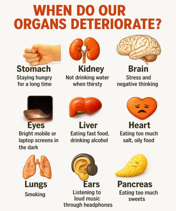 When Do Our Organs Deteriorate
1. Stomach  Staying hungry for long periods

Skipping meals or going too long without eating can put unnecessary stress on your stomach. Make sure to fuel your body regularly to maintain proper digestion and overall health.

2. Kidneys  Not drinking enough water when thirsty

The kidneys filter waste from the blood, and dehydration can make this process harder. Stay hydrated to keep your kidneys functioning well.

3. Brain  Stress and negative thinking

Chronic stress and negative thoughts can shrink the brains volume and impair cognitive function. Practice mindfulness and stress-relieving activities like meditation or exercise.

4. Eyes  Staring at bright screens in the dark

Prolonged exposure to blue light from mobile phones and laptops, especially in the dark, can strain your eyes. Avoid excessive screen time and take breaks to protect your vision.

5. Liver  Eating fast food and drinking alcohol

Regular consumption of fast food and alcohol can overwhelm the liver, leading to serious long-term damage. Prioritize a balanced, nutritious diet to keep your liver healthy.

6. Heart  Eating too much salt and oily food

A diet high in sodium and unhealthy fats can cause heart disease. Eating heart-healthy foods like fruits, vegetables, and whole grains can help protect this vital organ.

7. Lungs  Smoking

Smoking damages the lungs, reducing their ability to breathe and filter toxins. If you smoke, consider quitting for better lung health and overall wellness.

8. Ears  Listening to loud music through headphones

Prolonged exposure to loud sounds can cause permanent hearing damage. Lower the volume and give your ears a break to protect your hearing.

9. Pancreas  Eating too many sweets

Consuming excessive sugar can lead to the overproduction of insulin, which can put strain on the pancreas. A balanced diet with minimal sugar is essential for this organs health.

Take care of your organs today to ensure a healthier tomorrow!