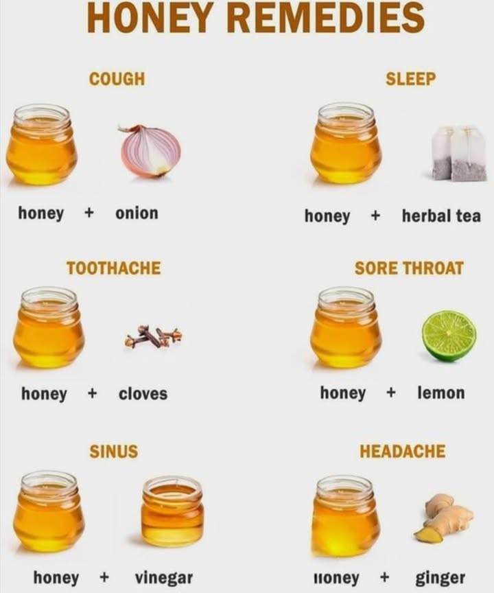 Honey Remedies You Can Try at Home 

Natural and simple, honey combined with common ingredients can ease everyday discomforts. Here are some classic remedies:

蠟 Cough Relief  Honey  Onion

 Better Sleep  Honey  Herbal Tea

醴 Toothache Soothe  Honey  Cloves

 Sore Throat Calm  Honey  Lemon

 Sinus Relief  Honey  Vinegar

洛 Headache Ease  Honey  Ginger

 Honey is not just sweetits soothing, antibacterial, and a natural healer. Keep a jar handy in your kitchen for quick home remedies!