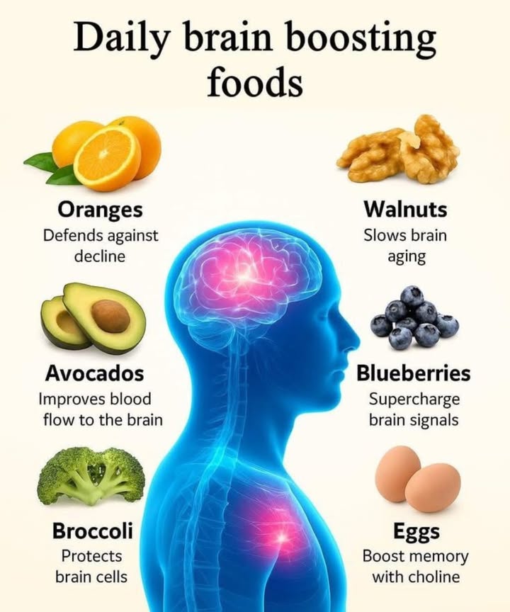 易 Daily Brain Boosting Foods 

Fuel your mind and protect your memory with these powerful, brain-friendly superfoods!

 Oranges  Defend against mental decline with vitamin C.
陋 Avocados  Improve blood flow to your brain for sharper thinking.
復 Broccoli  Rich in antioxidants to protect brain cells.
 Walnuts  Slow down brain aging with omega-3s.
𢡄 Blueberries  Supercharge brain signals and improve communication.
讀 Eggs  Boost memory thanks to choline.

 Add these foods to your daily meals and keep your brain strong, sharp, and healthy for years to come!