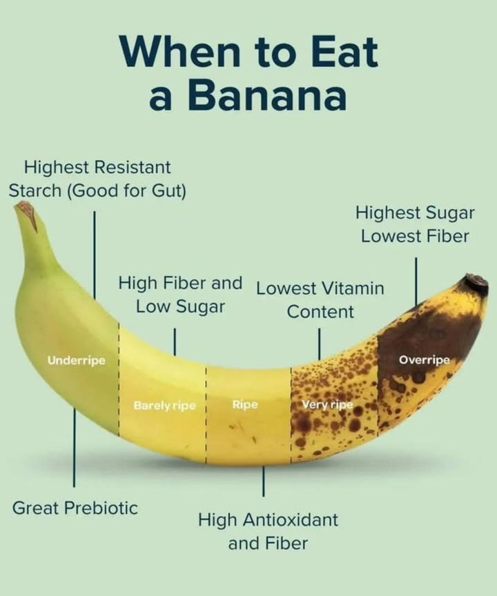 When to Eat a Banana? It Depends on Your Health Goal! 
 Underripe Green
 Highest resistant starch
 Great for gut health
 Excellent prebiotic
 Less sweet

 Barely Ripe Slightly Yellow
 High fiber
 Low sugar
 Good for digestion
 Still a bit starchy

 Ripe Fully Yellow
 Balanced nutrition
 Mildly sweet
 Lowest vitamin content
Great for snacking or smoothies!

 Very Ripe Spotted Yellow
 High in antioxidants
 Easy to digest
Perfect for baking, like banana bread! 

 Overripe Brown/Black Spots
 Highest sugar level
 Softest texture
 Lowest fiber
Best for natural sweetening in recipes

 Pro Tip:
Want more fiber? Stick to greener bananas.
Need quick energy or natural sweetness? Go for overripe ones!