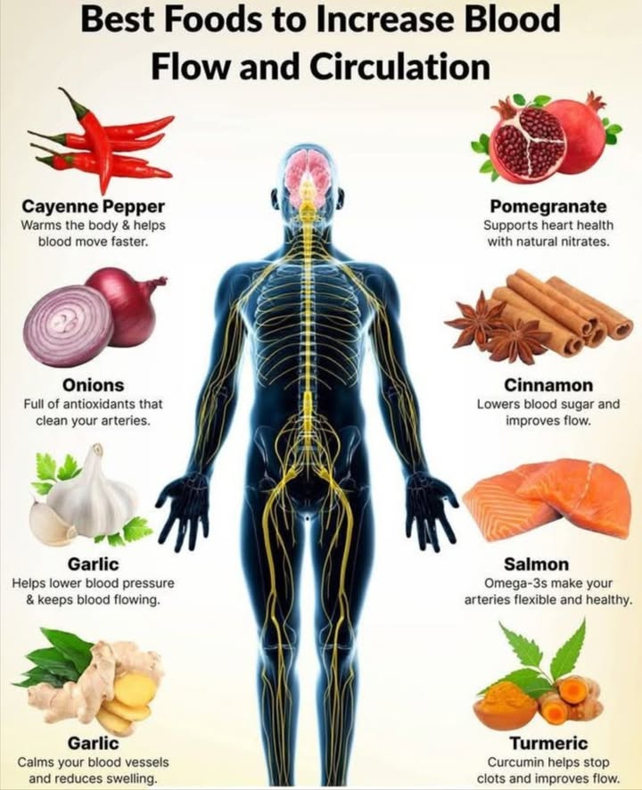 Best Foods to Increase Blood Flow & Circulation

 Support your heart and keep your arteries healthy with these natural circulation boosters:

 Cayenne Pepper  Warms the body & helps blood move faster.

暈 Onions  Packed with antioxidants that clean your arteries.

龍 Garlic  Lowers blood pressure & keeps blood flowing.

 Ginger  Calms blood vessels & reduces swelling.

 Pomegranate  Supports heart health with natural nitrates.

 Cinnamon  Lowers blood sugar & improves blood flow.

 Salmon  Omega-3s keep arteries flexible & healthy.

 Turmeric  Curcumin helps prevent clots & improves circulation.

 Adding these foods to your diet can naturally support your heart, boost energy, and keep your blood flowing smoothly!