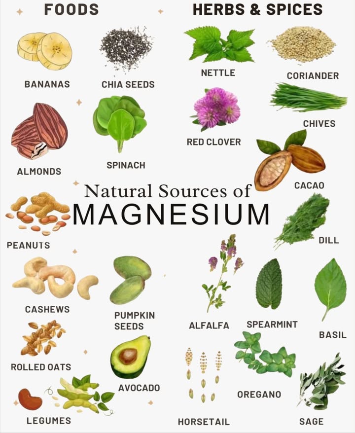 易 The Power of Magnesium
 Fuels your nerves and muscles to function smoothly
 Balances blood sugar and keeps pressure in check
 Activates energy at the cellular level
 Easily drained by stress, caffeine, and nutrient-poor soil

 Tip: Include a mix of magnesium-rich foods and herbs for better absorption and variety in your routine.
