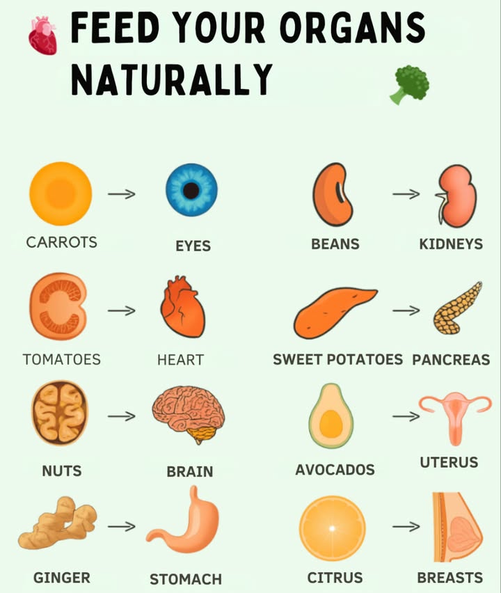 變 Nourish your organs naturally 復

Discover which foods benefit each part of your body:
凌 Carrots  Eyes
 Tomatoes  Heart
 Nuts  Brain
陋 Avocados  Uterus
 Citrus Fruits  Breasts
凜 Sweet Potatoes  Pancreas
樂 Beans  Kidneys
 Ginger  Stomach

Eat healthy and take care of your health in a delicious way!