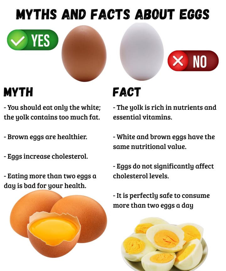 Myths and Facts About Eggs