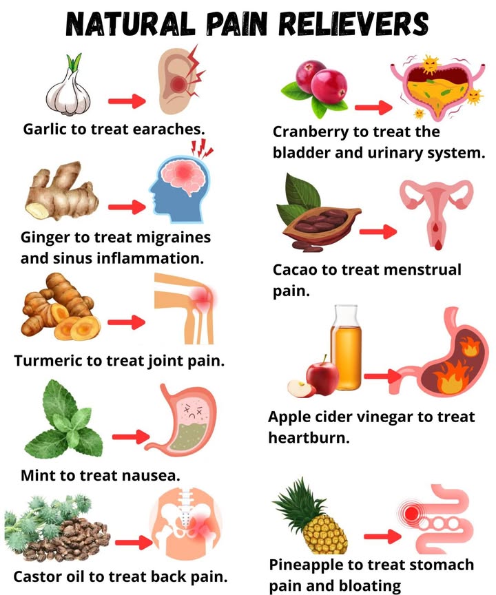 Natural Pain Relievers: Relieve Pain in a Different Way 

Certain plants and foods have always possessed analgesic and anti-inflammatory properties. Here are 9 natural allies against everyday aches and pains:

龍 Garlic  Relieves earaches
 Cranberry  Protects the bladder and urinary system
 Ginger  Reduces migraines and sinus inflammation
 Cocoa  Reduces menstrual pain
 Turmeric  Soothes joint pain
 Apple Cider Vinegar  Relieves heartburn
 Mint  Calms nausea
 Castor Oil  Relieves back pain
 Pineapple  Reduces bloating and stomach pain

 Conclusion
These natural remedies help relieve various ailments and improve daily well-being.  Precious health allies offered by nature.