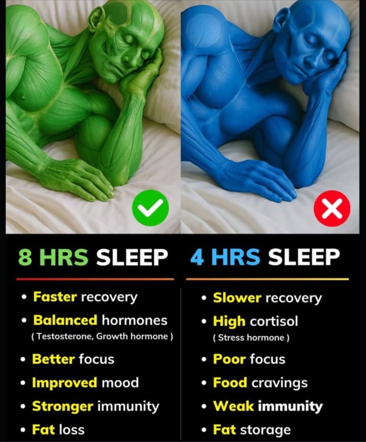8 Hours vs 4 Hours of Sleep  The Truth Your Body Shows