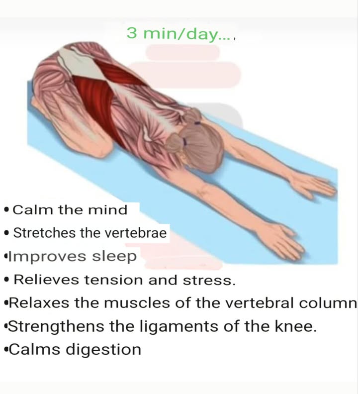 This pose is perfect for stretching your back, relieving stress, and refocusing your energy… dont hesitate to adopt it.