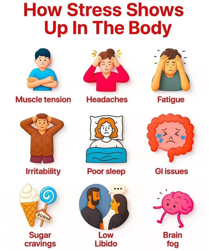 How Stress Shows Up in the Body
 Muscle Tension

Stress causes tightness in your shoulders, neck, and back.

勞 Headaches

Tension headaches and migraines can be triggered by chronic stress.

 Fatigue

Feeling constantly drainedeven after restingcan be a stress response.

 Irritability

Stress lowers patience and increases emotional outbursts.

 Poor Sleep

Difficulty falling or staying asleep is a classic stress symptom.

濫 GI Issues

Stress can upset your stomach, cause bloating, or trigger IBS flare-ups.

 Sugar Cravings

High stress increases cravings for quick comfort foods like sweets.

 Low Libido

Stress impacts hormone balance and reduces desire.

 Brain Fog

Difficulty focusing, forgetfulness, and mental exhaustion often follow stress.

 Takeaway: Your body keeps the score! Recognizing these signs can help you take actionthrough relaxation, movement, and mindful self-care.