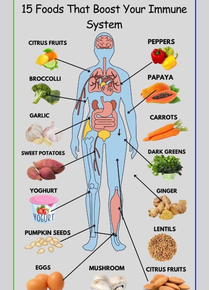 15 Powerful Foods That Boost Your Immune System Naturally 
 1. Citrus Fruits
Packed with vitamin C, citrus fruits like oranges, lemons, and limes increase white blood cell productionvital for fighting infections.

復 2. Broccoli
Rich in vitamins A, C, and E, as well as fiber and antioxidants, broccoli is one of the healthiest vegetables to include in your meals.

龍 3. Garlic
Garlic contains allicin, a compound that enhances immune function and helps fight infections.

 4. Sweet Potatoes
Loaded with beta-carotene, sweet potatoes support skin healthwhich is your bodys first line of defense.

北 5. Yogurt
Probiotics in yogurt promote gut health, which is closely linked to immune strength.

 6. Pumpkin Seeds
High in zinc, these seeds help immune cells function properly and can help reduce inflammation.

讀 7. Eggs
A great source of protein and vitamin Dboth important for immune function.

 8. Mushrooms
Mushrooms like shiitake and maitake are known for boosting white blood cells and enhancing immunity.

 9. Peppers
Bell peppers are rich in vitamin Cyes, even more than citrus fruits! They also contain beta-carotene for added support.

 10. Papaya
Papaya contains digestive enzymes and vitamin C, both of which help strengthen the immune system.

凌 11. Carrots
Another great source of beta-carotene that supports mucous membrane health and immune defense.

塞 12. Dark Greens
Spinach, kale, and other leafy greens are loaded with immune-enhancing nutrients like folate and iron.

 13. Ginger
Ginger has anti-inflammatory and antioxidant properties, helping fight off illness and soothe sore throats.

北 14. Lentils
A plant-based source of protein, iron, and zinc, lentils help energize your immune response.

 15. Citrus Fruits Again!
Theyre so important they deserve a second mention! Vitamin C is essential for cellular repair and defense.

 Final Thoughts
Including these 15 foods in your diet will help your body stay resilient, energetic, and ready to defend itself. Combine them with proper sleep, hydration, and exercise, and youll give your immune system everything it needs to thrive.